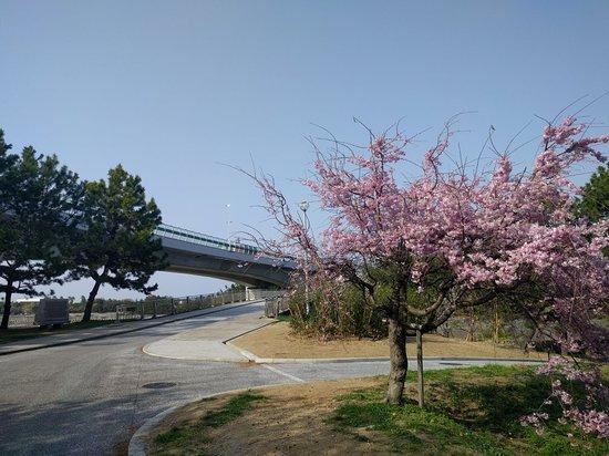 Nishikinohama Beach Park